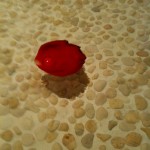 カウンターに流れるバラの花